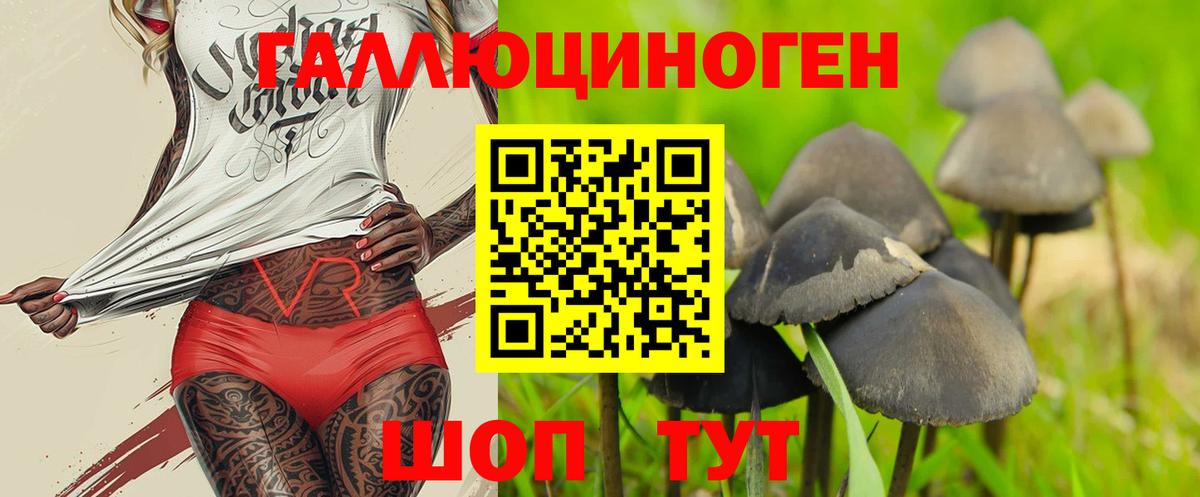 Копейск  Галлюциногенные грибы Magic Shrooms  цена наркотик  Вход с VPN  Псилоцибиновые грибы Psilocybine cubensis 