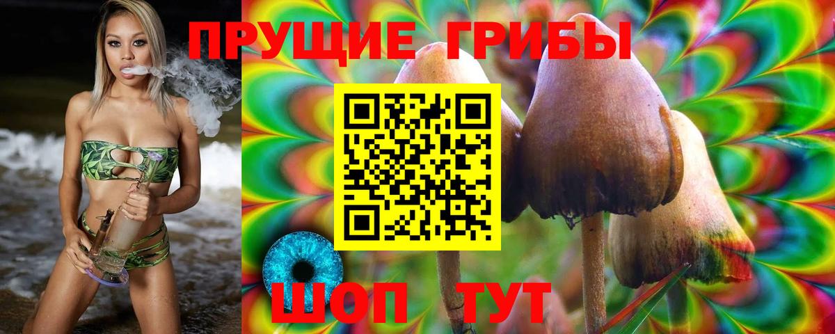 Псилоцибиновые грибы Psilocybe Копейск